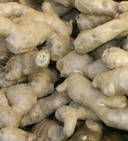 Ginger Ginger