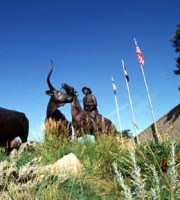 Billings, MT
